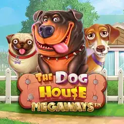 The Dog House Megaways gra w Lanista Casino dla graczy z Polski The Dog House Megaways gra w Lanista Casino dla graczy z Polski
