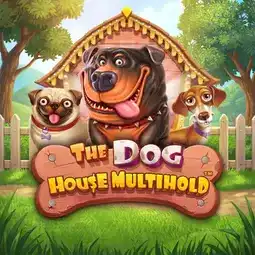 The Dog House Multihold gra w Lanista Casino dla graczy z Polski The Dog House Multihold gra w Lanista Casino dla graczy z Polski